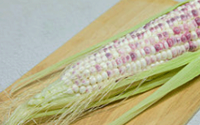 吴裕泰